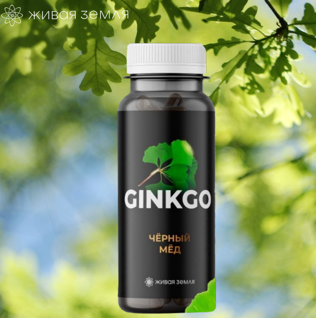 ФГК «Чёрный мёд» Ginkgo, капсулы